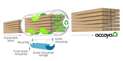 Accoya Process